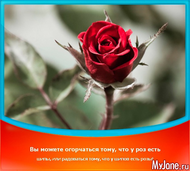 �������-�-����