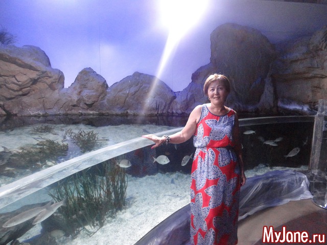 ��������� �������