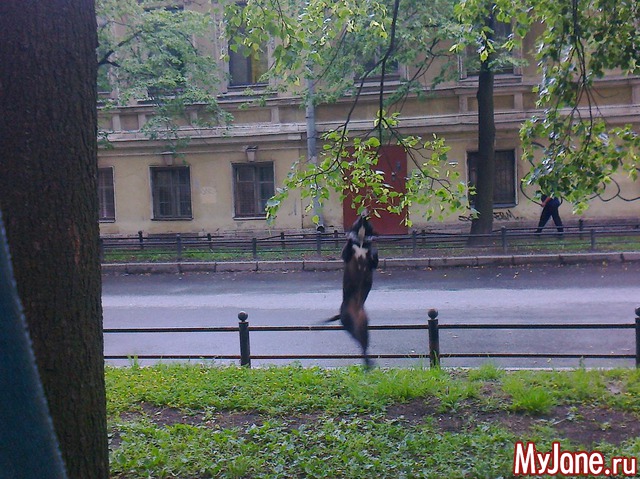 � � ����