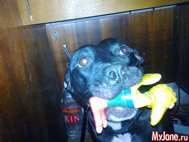 ������ �� ������