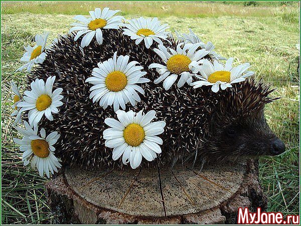 �������������