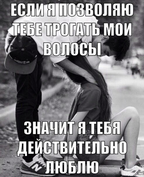 ������ ��������