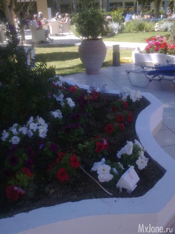 ��������� ������ ����� �����