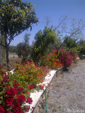 ��������� ������� ������� �����