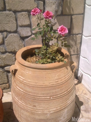 ��������� ������� ������� �����