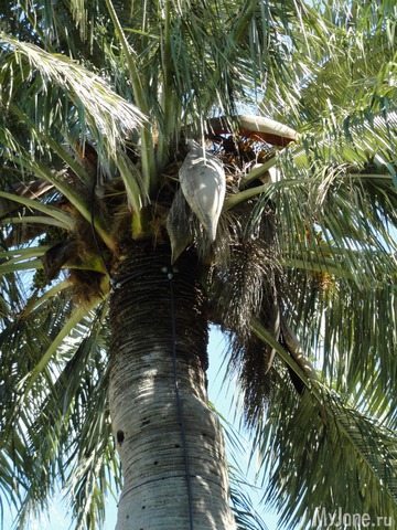 �������� �� ����� �� ��� �������