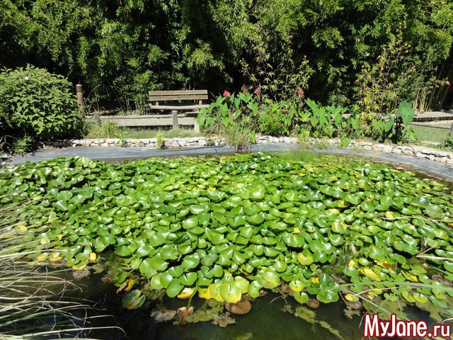 �������� �� ������ ����