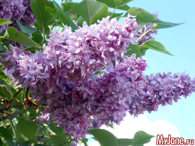 ������ 2