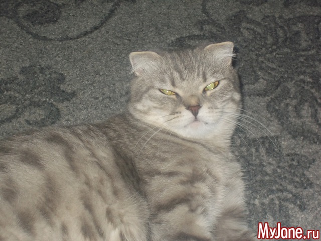 ��� ������