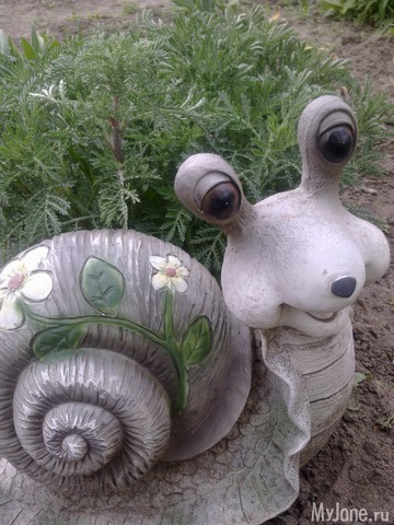 ��� �������� �����