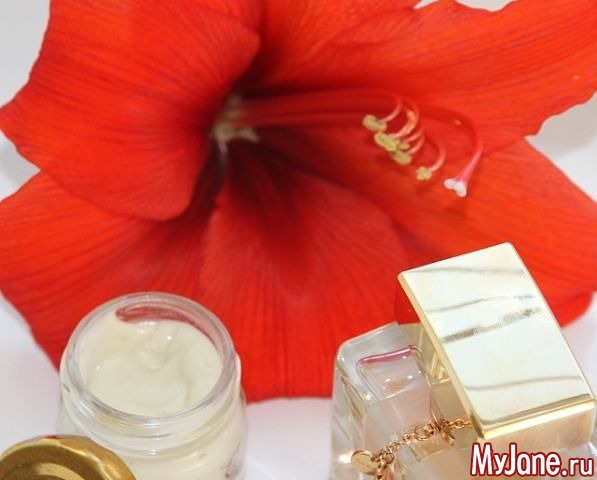 �������� ����������� ���� ����� �� ���  8 937 743 01 01.