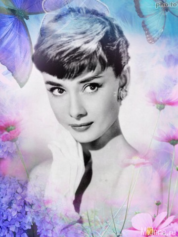 ������ ����