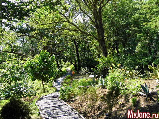 ������� ����� ��������� ������� ���� ����������� �-�