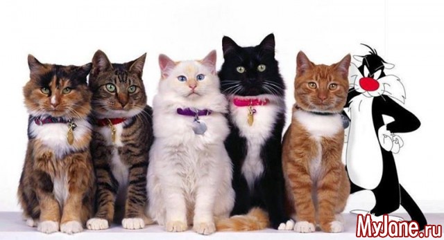 ��� ��������� ���� ���!