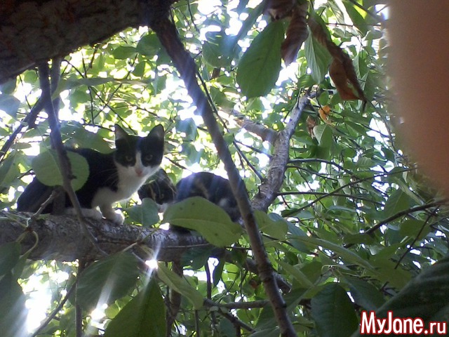 ��� ��������� ���� ���!