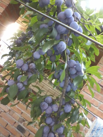 ��� ��������� ���� ���!