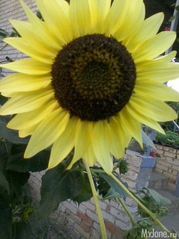 ��� ��������� ���� ���!