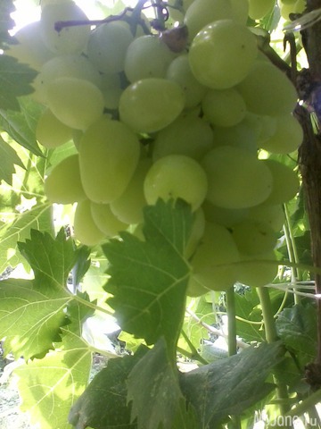 ��� ��������� ���� ���!