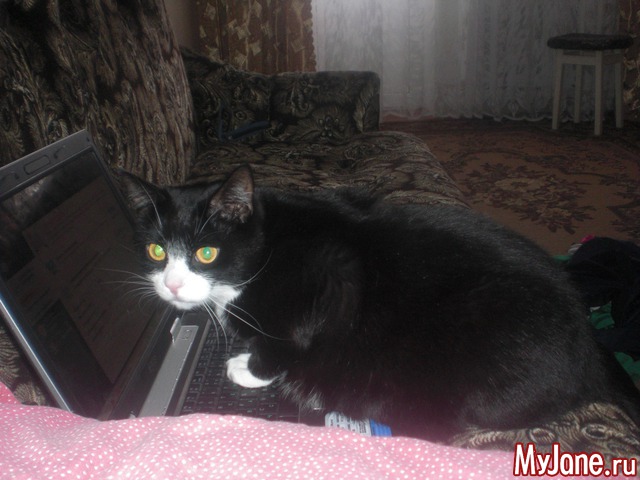 ��� ������� ���