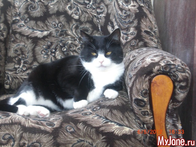 ��� ������� ���