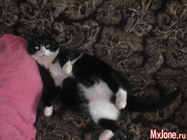 ��� ������� ���