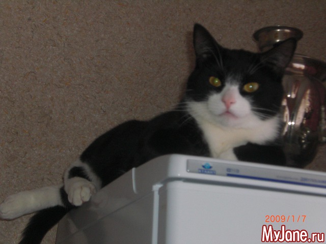 ��� ������� ���