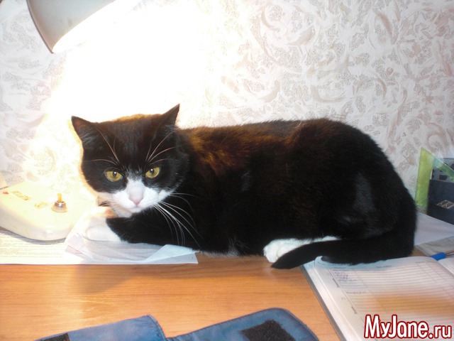 ��� ������� ���