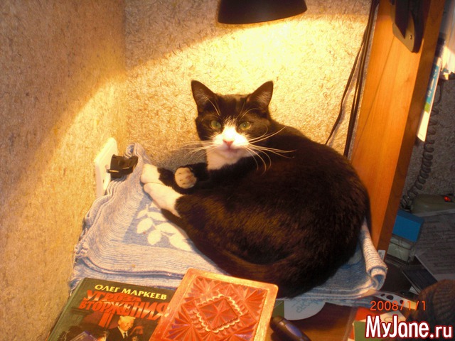 ��� ������� ���