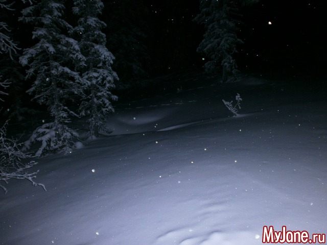 ����� �������.