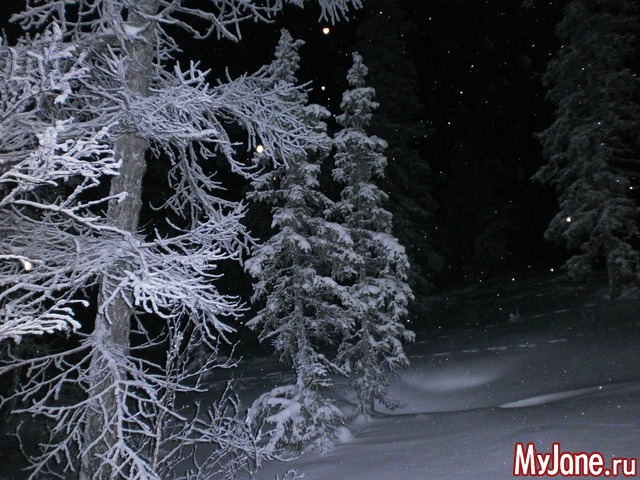 ����� �������.