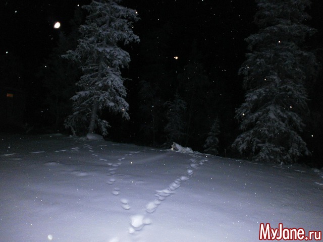 �������� �����.