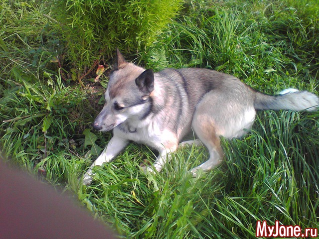 ����� �� ����