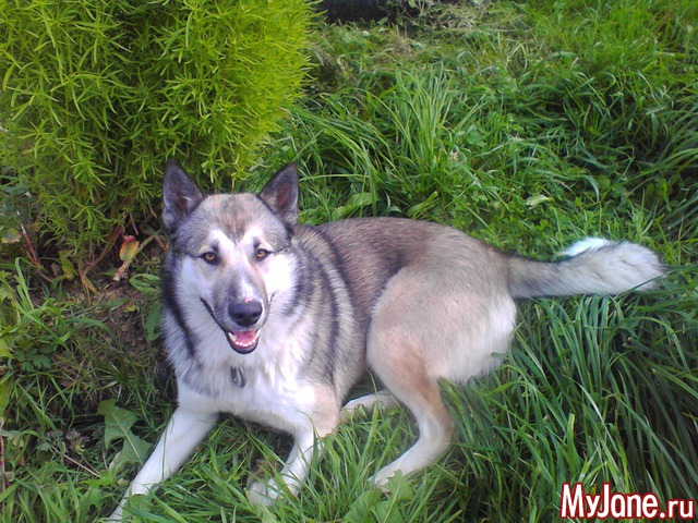 ����� �� ����