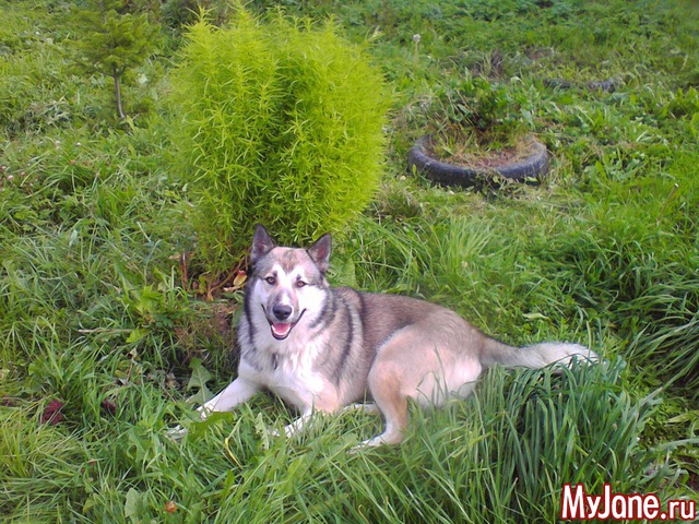 ����� �� ����