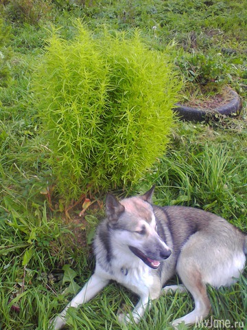 ����� �� ����