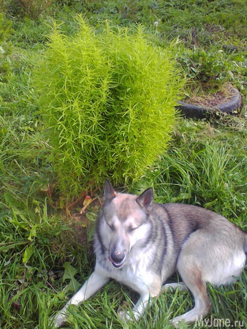 ����� �� ����