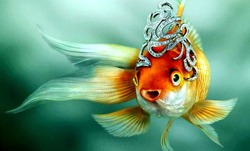 Новая Сказка о золотой рыбке