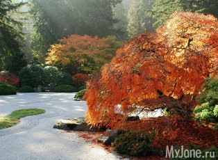 ��� �����