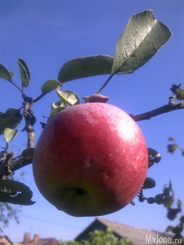 ������ � ����� �����. 2015 ���.