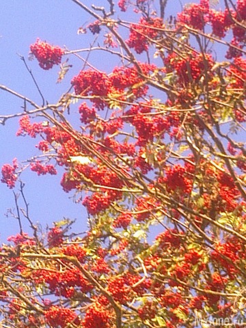 ������ � ����� �����. 2015 ���.