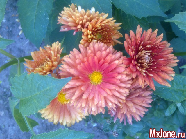 ����������