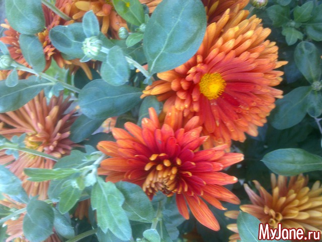 ����������