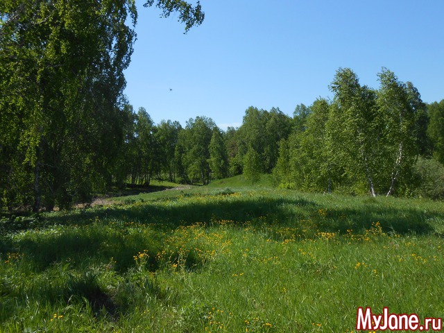 ������ ����