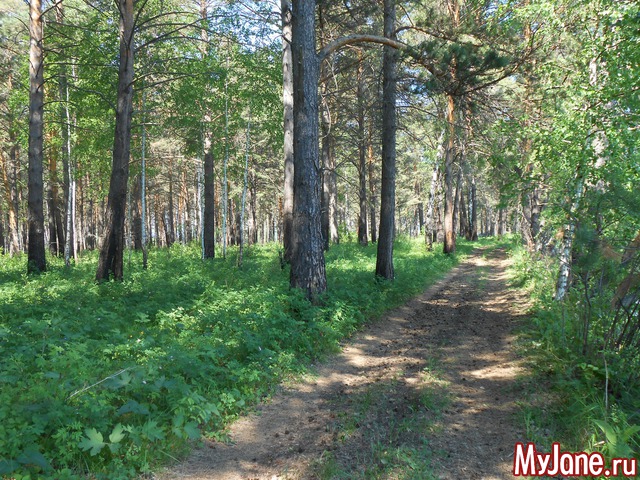 �� ��������� ��������....