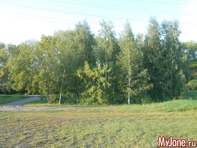 ��� �� ���� ����� ����