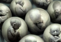 Британские ученые попросили разрешить им менять гены в эмбрионах человека