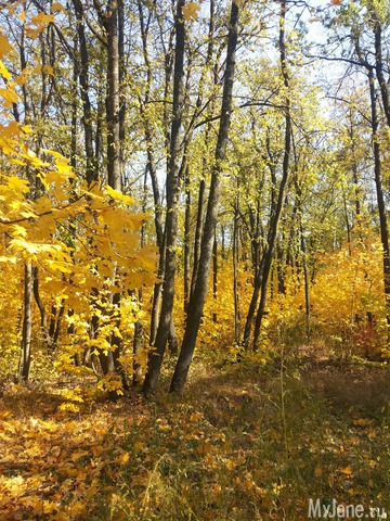 "�������"���