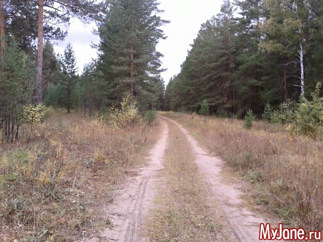 �����-��� ���� ������