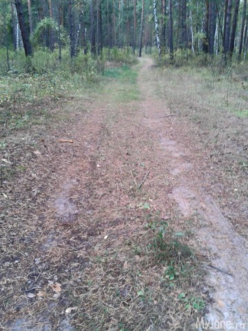 �����-��� ���� ������