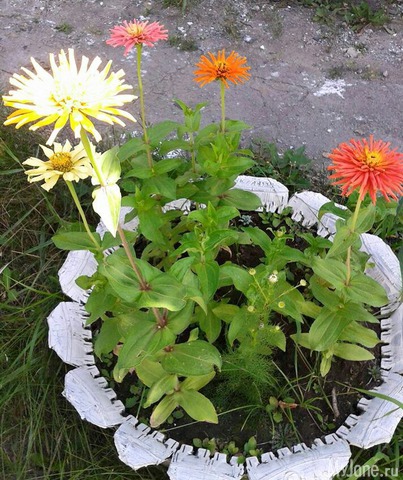 �����-��� ���� ������